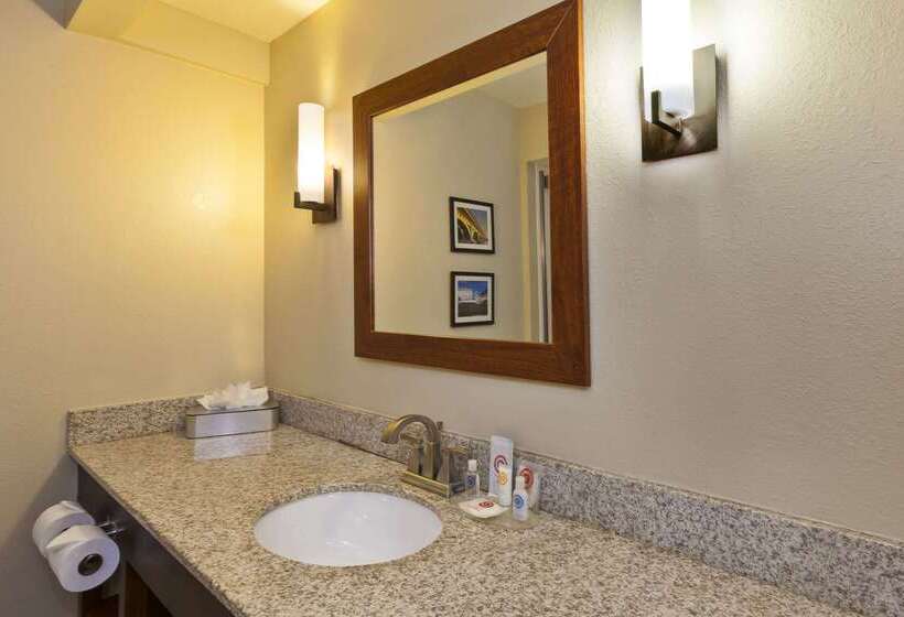 酒店 Comfort Inn & Suites