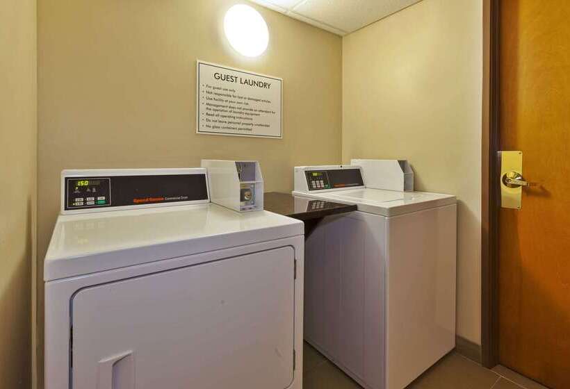 酒店 Comfort Inn & Suites