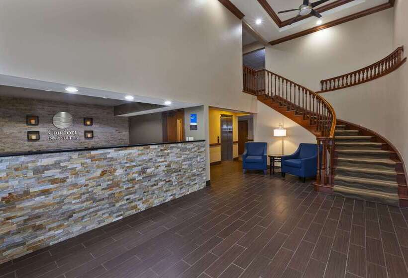 酒店 Comfort Inn & Suites