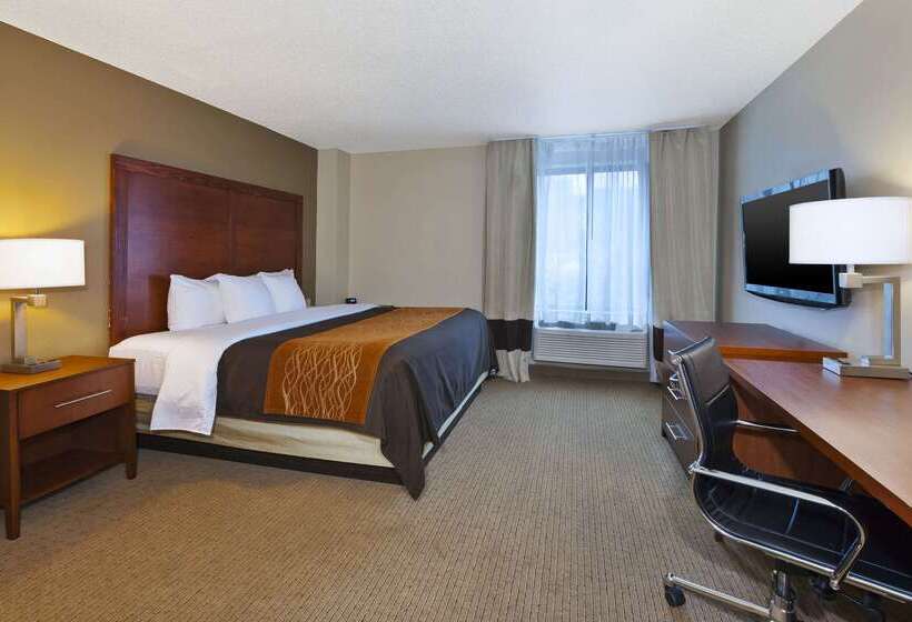 酒店 Comfort Inn & Suites