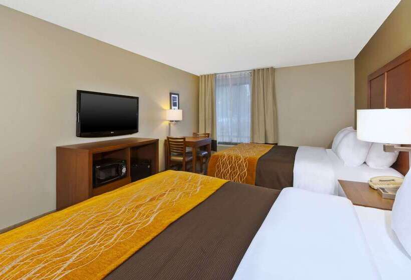 酒店 Comfort Inn & Suites