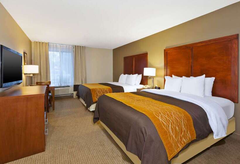 酒店 Comfort Inn & Suites