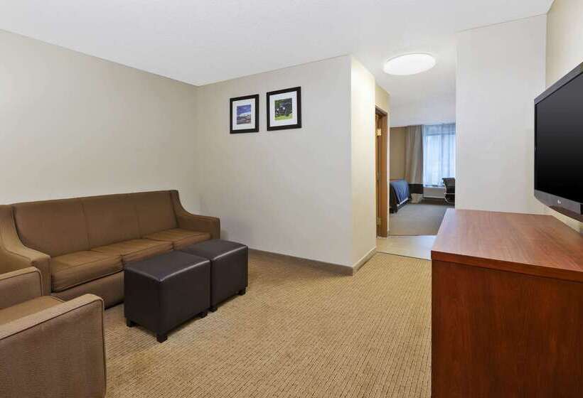 酒店 Comfort Inn & Suites