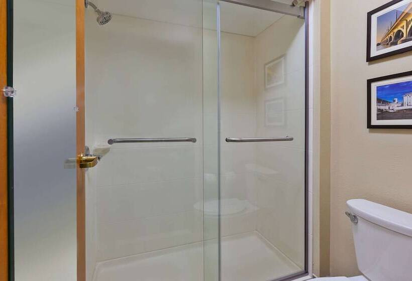 酒店 Comfort Inn & Suites