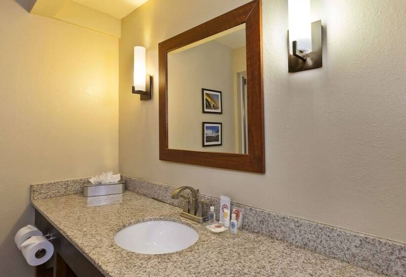 酒店 Comfort Inn & Suites