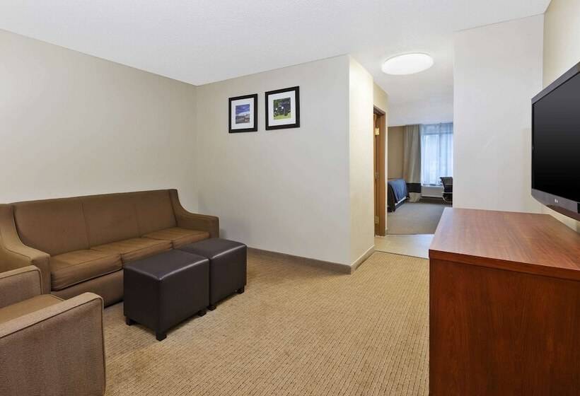 酒店 Comfort Inn & Suites