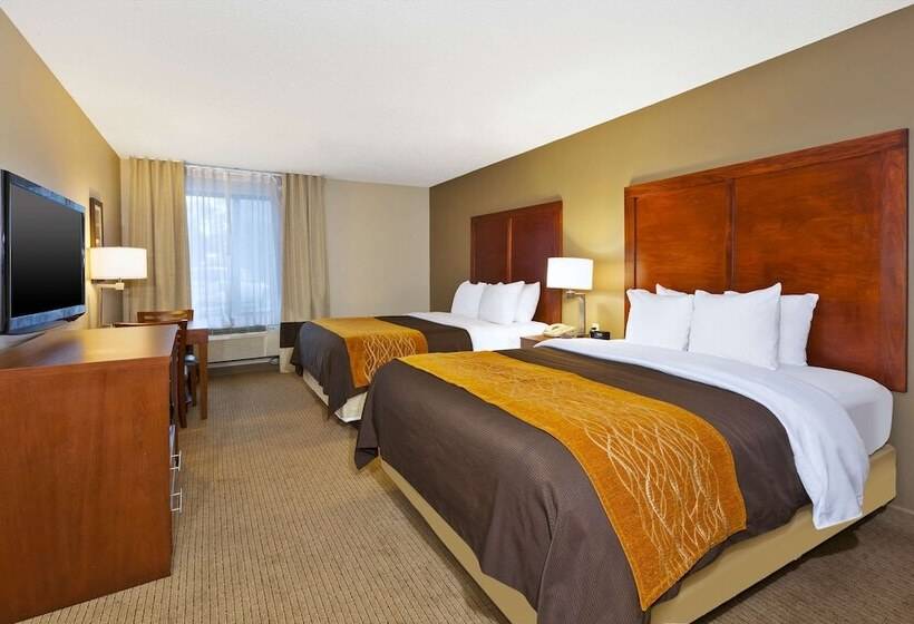 酒店 Comfort Inn & Suites