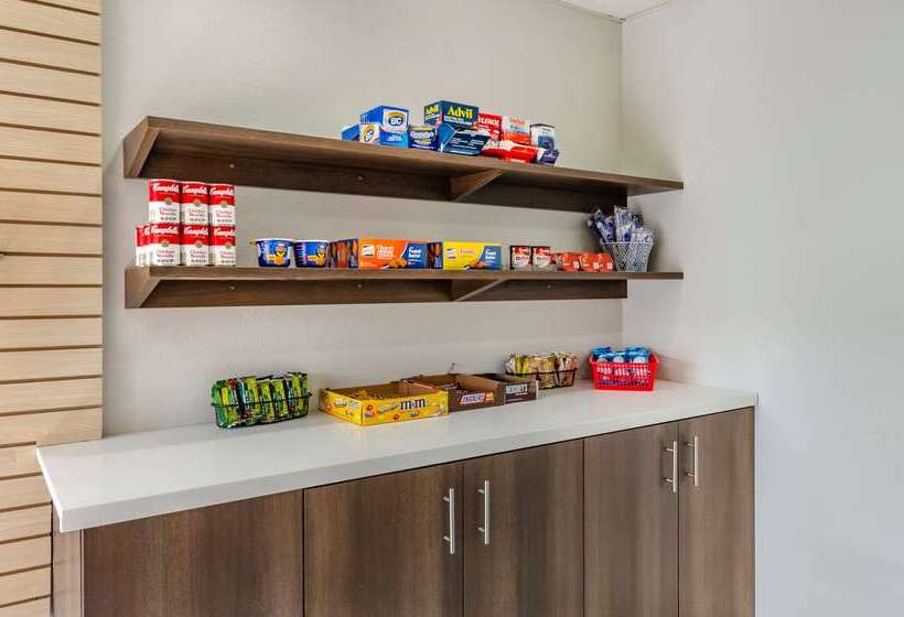 בית מלון כפרי Comfort Inn & Suites Troutville   Roanoke North   Daleville