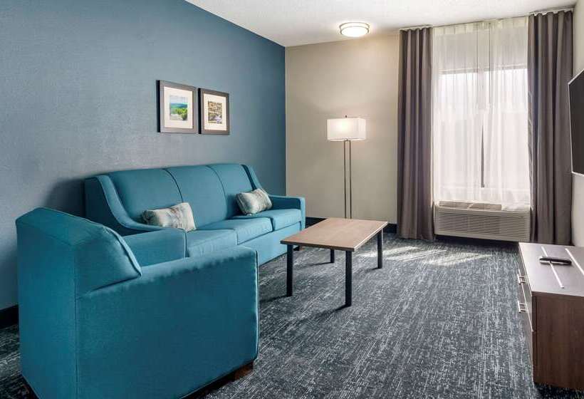 בית מלון כפרי Comfort Inn & Suites Troutville   Roanoke North   Daleville