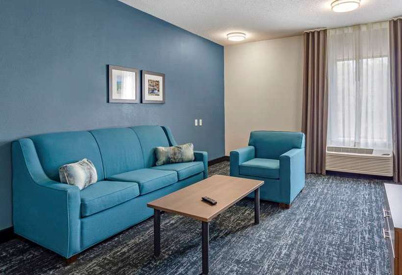 בית מלון כפרי Comfort Inn & Suites Troutville   Roanoke North   Daleville