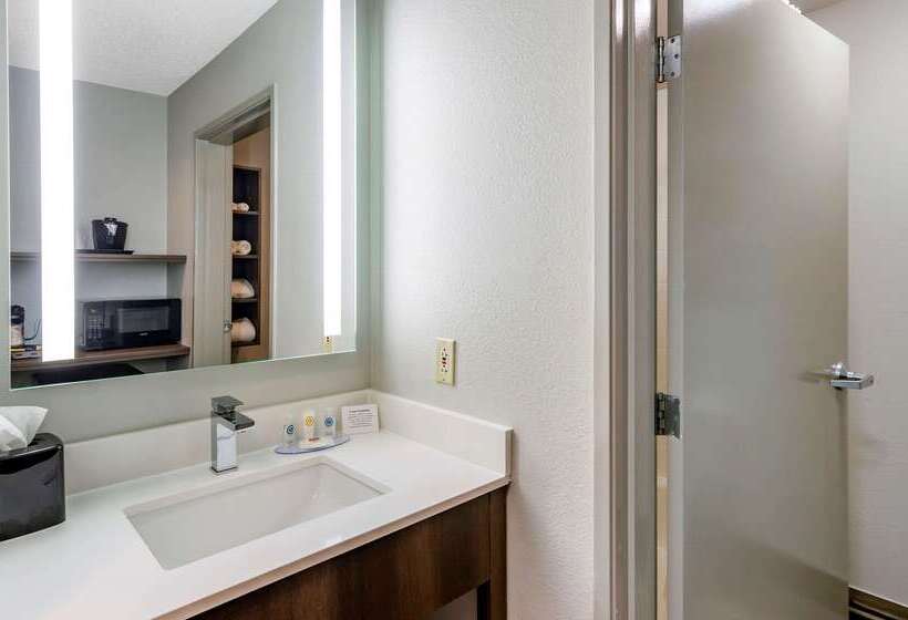 בית מלון כפרי Comfort Inn & Suites Troutville   Roanoke North   Daleville