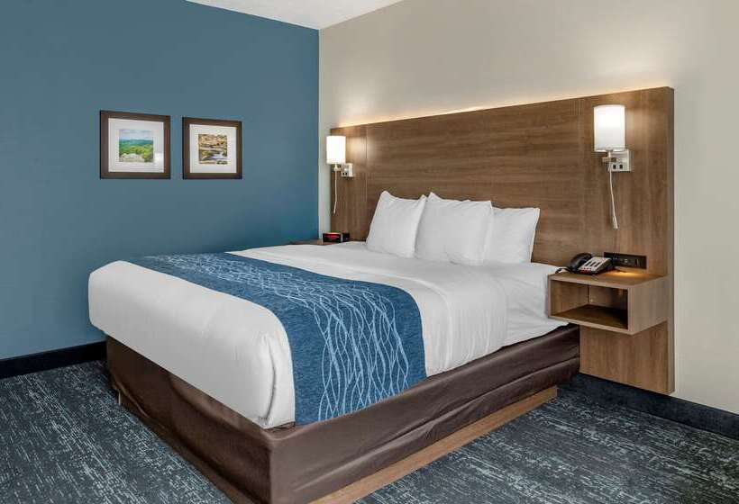 בית מלון כפרי Comfort Inn & Suites Troutville   Roanoke North   Daleville