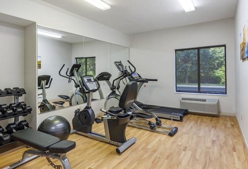 בית מלון כפרי Comfort Inn & Suites Troutville   Roanoke North   Daleville