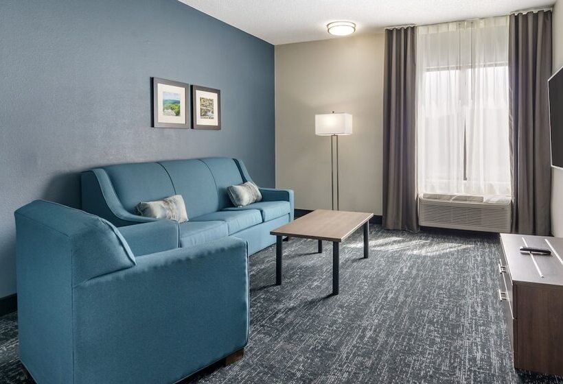 בית מלון כפרי Comfort Inn & Suites Troutville   Roanoke North   Daleville