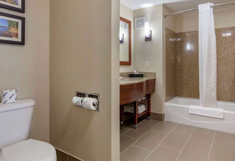 فندق Comfort Suites