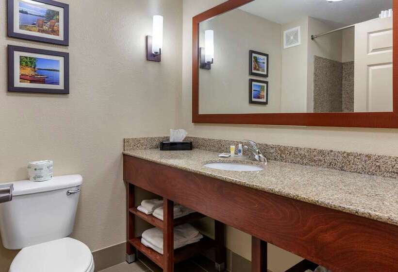 فندق Comfort Suites