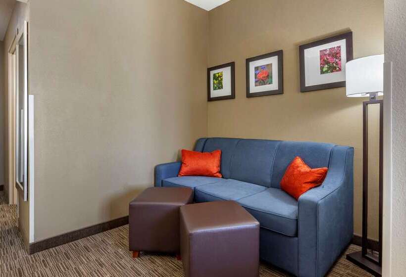 فندق Comfort Suites