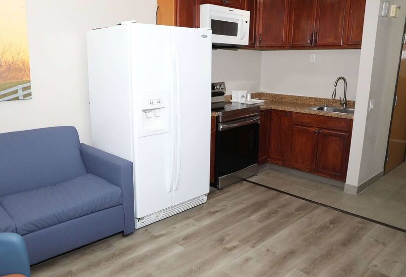 Отель Days Inn & Suites By Wyndham San Antonio North/stone Oak