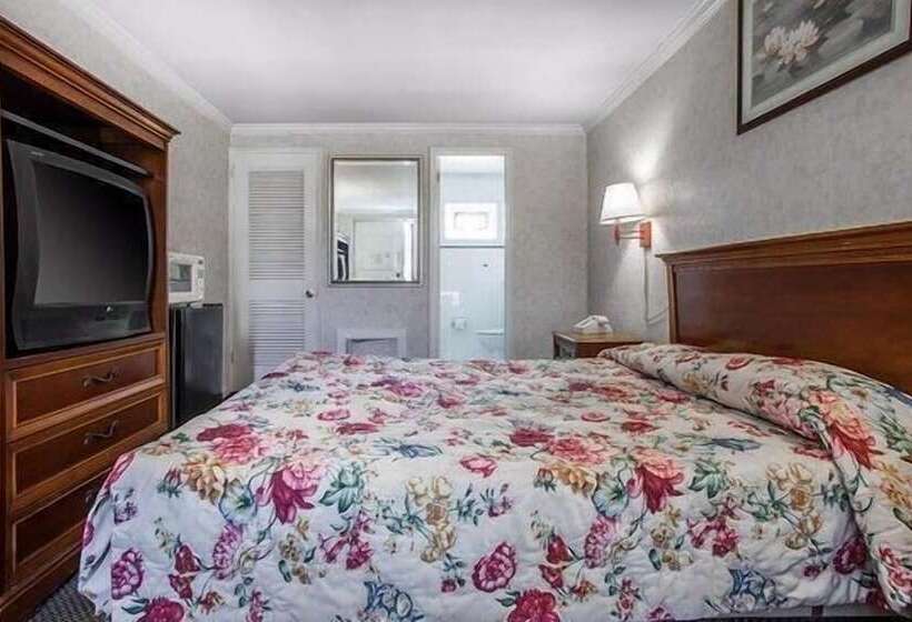 ホテル Downbeach Inn