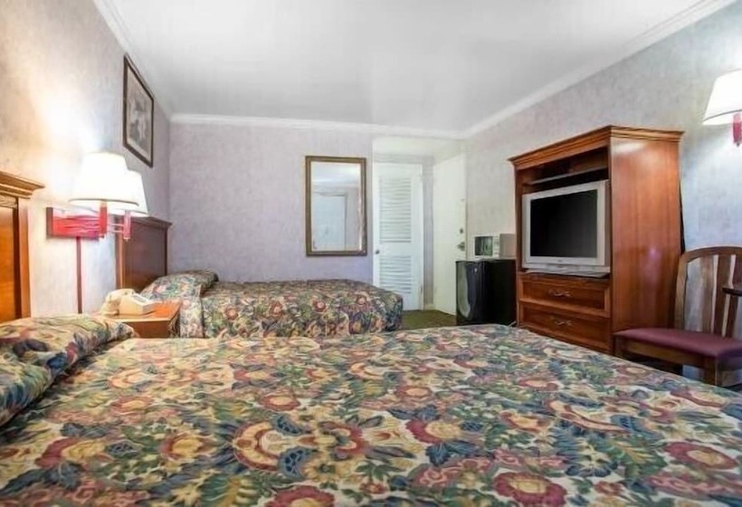 ホテル Downbeach Inn