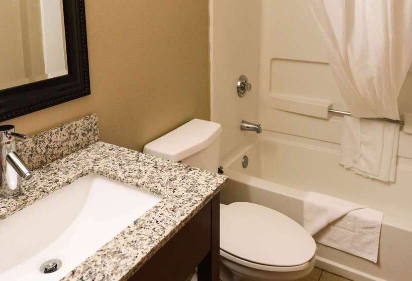 בית מלון כפרי Econo Lodge Inn & Suites