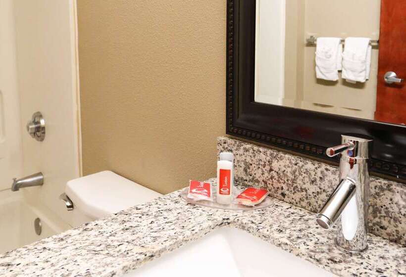 בית מלון כפרי Econo Lodge Inn & Suites