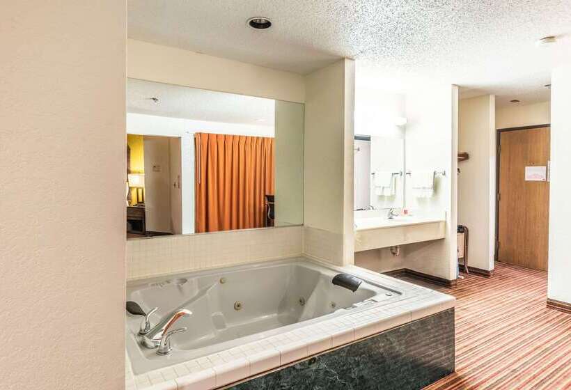 Отель Econo Lodge Inn & Suites