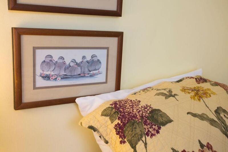 فندق Harding House