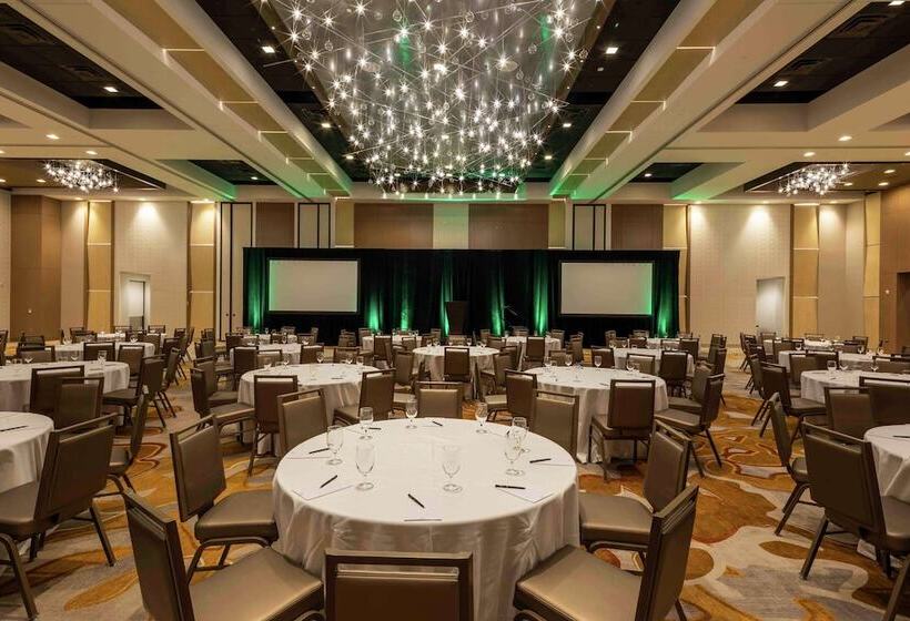 酒店 Hilton Miami Dadeland