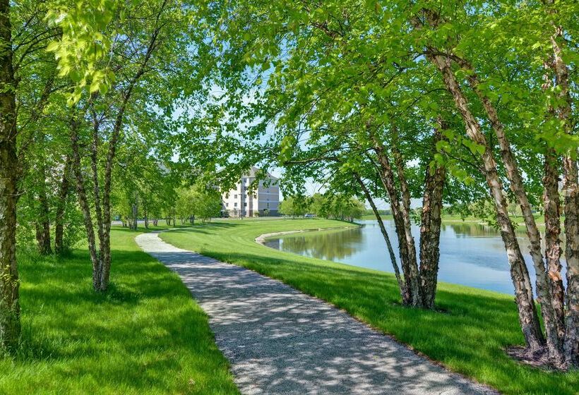 فندق Homewood Suites By Hilton Aurora Naperville