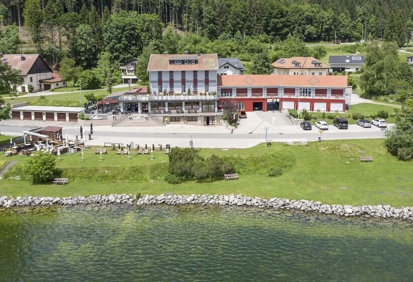 호텔 Hôtel Bellevue Le Rocheray