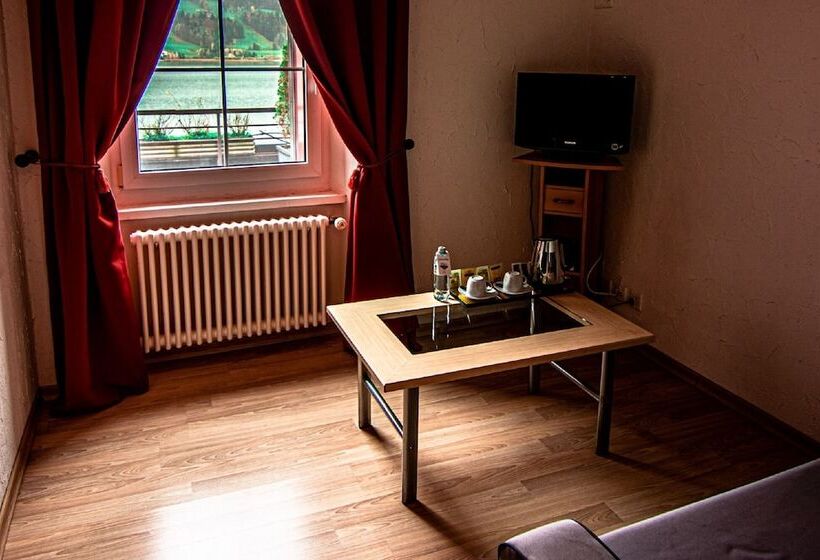 호텔 Hôtel Bellevue Le Rocheray