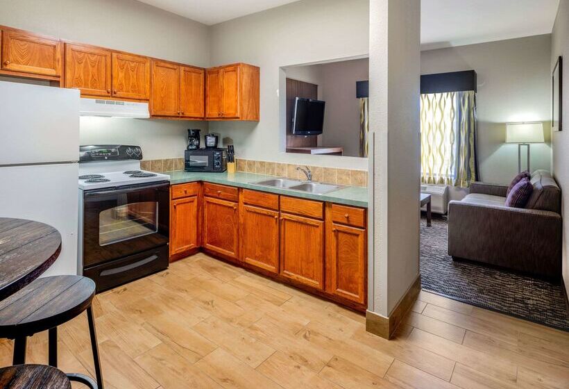 ホテル La Quinta By Wyndham Nw Tucson Marana