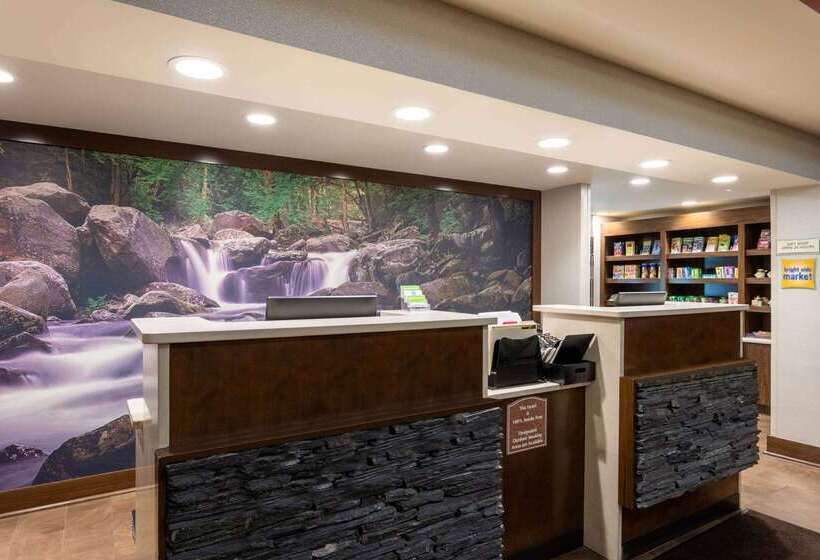 هتل La Quinta By Wyndham Pigeon Forge