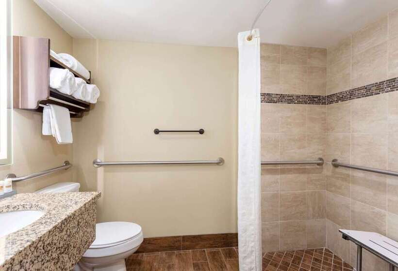 هتل La Quinta By Wyndham Pigeon Forge