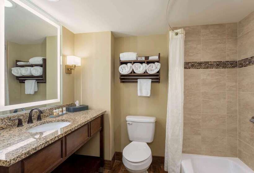 هتل La Quinta By Wyndham Pigeon Forge