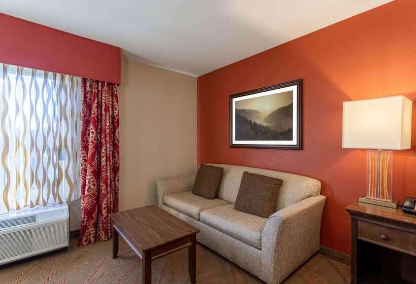 هتل La Quinta By Wyndham Pigeon Forge