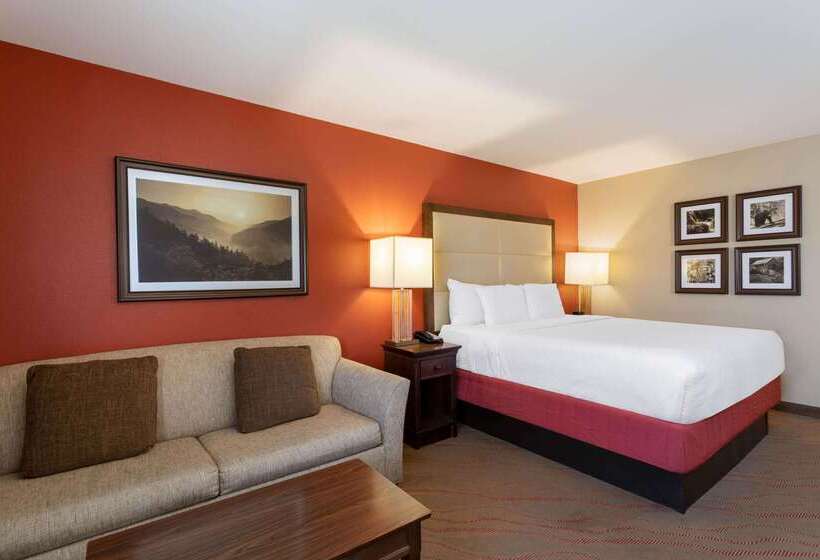 هتل La Quinta By Wyndham Pigeon Forge