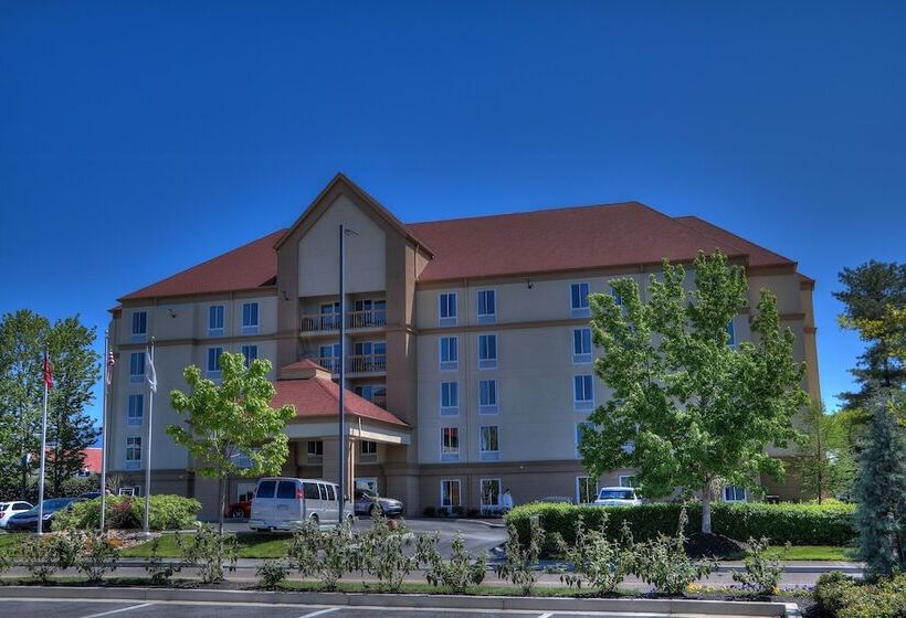 هتل La Quinta By Wyndham Pigeon Forge