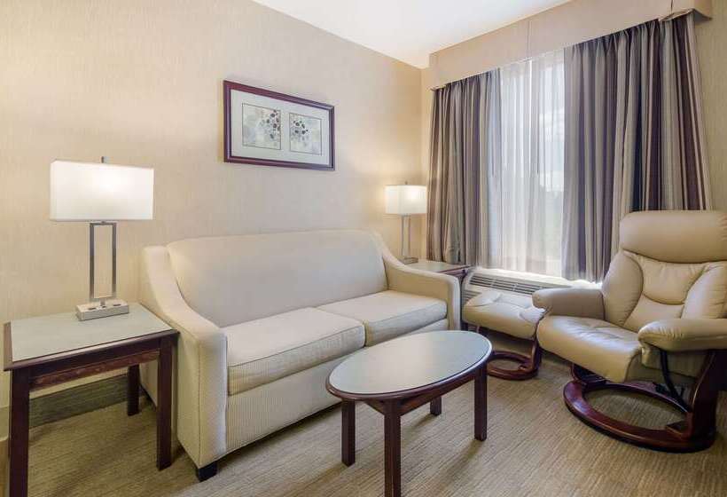 فندق Mainstay Suites Airport