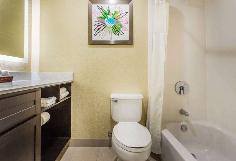 فندق Mainstay Suites Greenville Airport