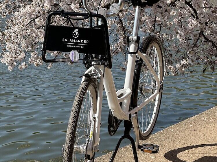 בית מלון כפרי Salamander Washington Dc