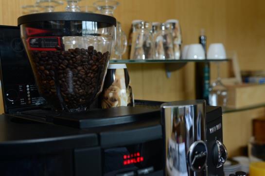 فندق Pension Alpenrosli