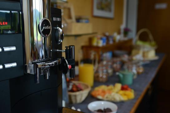 Отель Pension Alpenrosli