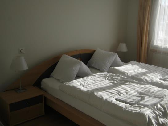 Отель Pension Alpenrosli