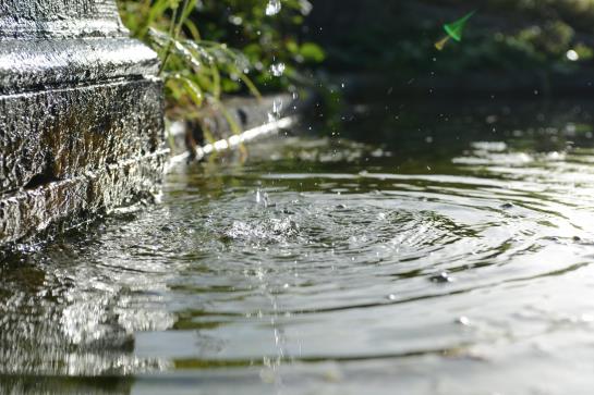 Отель Pension Alpenrosli