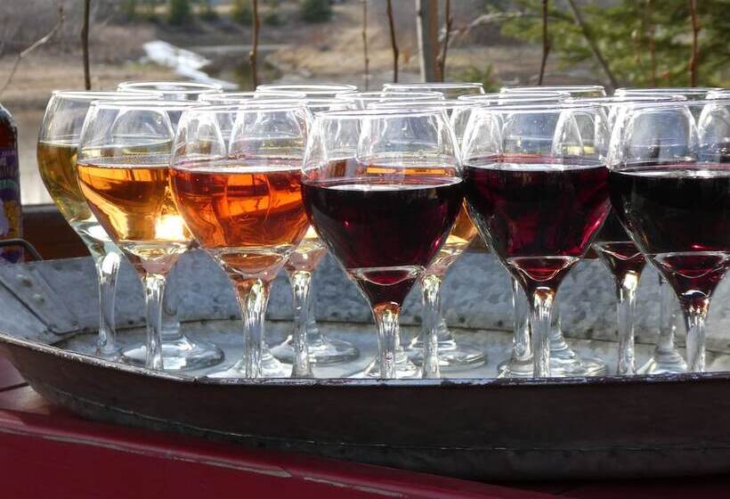 فندق Pike S Waterfront Lodge