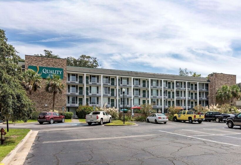 酒店 Quality Inn At Town Center