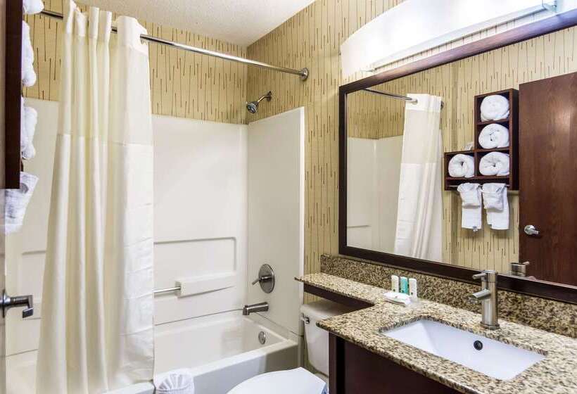 בית מלון כפרי Quality Inn Chester South Richmond