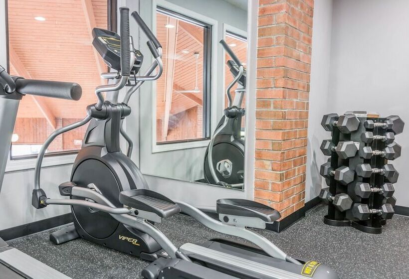 בית מלון כפרי Quality Inn Grand Blanc   Flint South